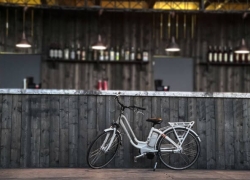 Do Electric Bicycles Need a License?